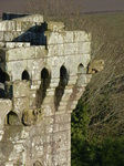 FZ035559 Gargoyles on Raglan towers.jpg